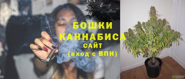 бошки Иннополис