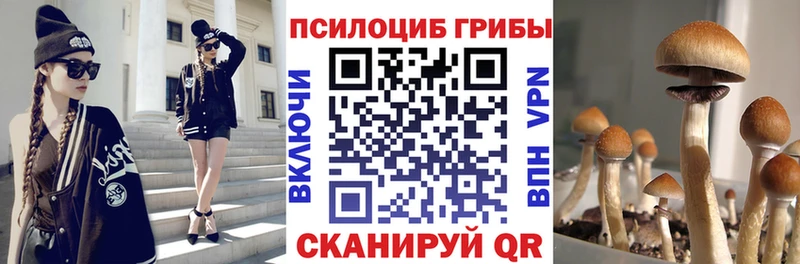 Псилоцибиновые грибы Cubensis  Купить  Опочка 