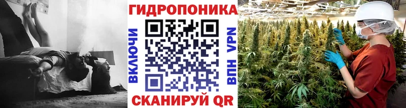 Купить закладки  Опочка  Конопля White Widow 